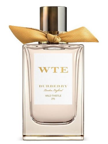 Burberry Wild Thistle EDP.jpg