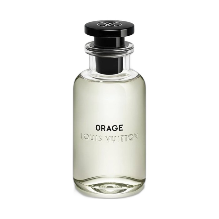 louis-vuitton-orage.jpg