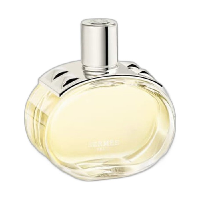 barenia-hermes.jpg