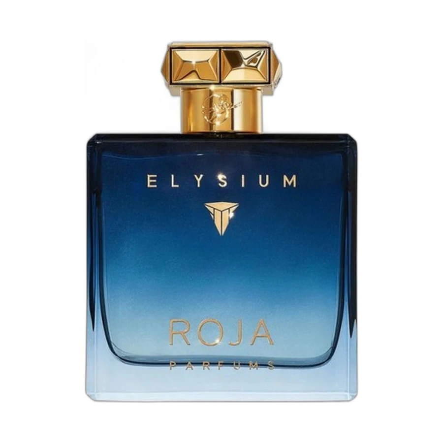 Roja Elysium Pour Homme Parfum Cologne.jpg