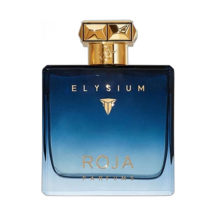 Roja Elysium Pour Homme Parfum Cologne.jpg