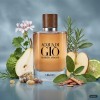 Armani Acqua di Gio Absolu Nuty