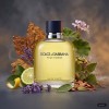 Dolce & Gabbana Pour Homme EDT Nuty