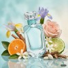 Tiffany & Co Nuty